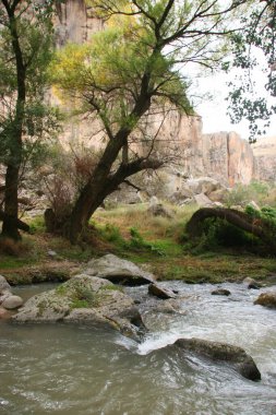 Parktaki nehrin güzel manzarası