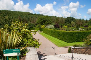 Parkın güzel manzarası