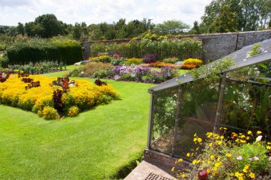 Güzel taze çiçekler Doğal manzara