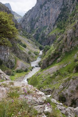 Dağları ve yeşil ağaçları olan güzel dağ manzarası