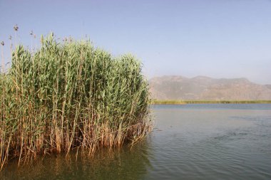 Sabah göl manzarası çok güzel.