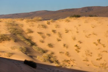 Çölün güzel manzarası