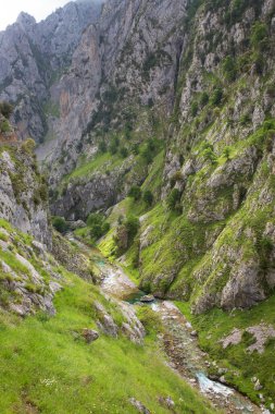 Yeşil çimenleri ve mavi gökyüzü olan güzel dağ manzarası