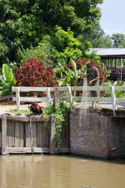 Doğanın güzel manzarası