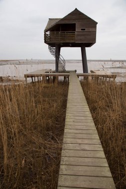 Kırsal kesimdeki sahilde tahta çitler.