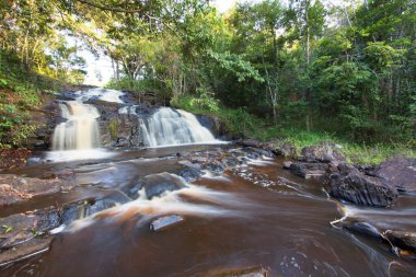 Tropikal ormanda akan kayalık nehir manzarası