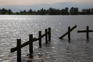 Gölde ahşap bir iskelenin kalıntıları.