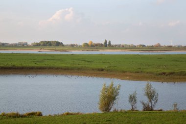 Nehirli güzel bir manzara