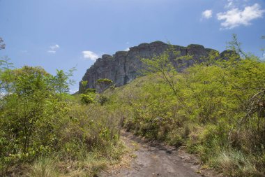 Taşlı ve yeşillikli güzel manzara
