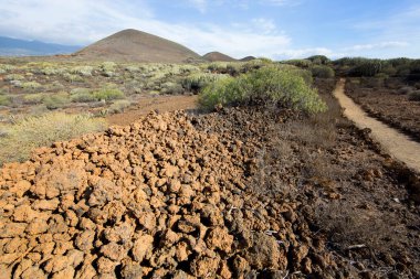 Volkan vadisi bitkileriyle volkanik manzara