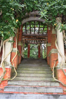 Parkın güzel manzarası