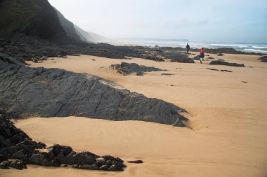 Denizde güzel bir sahil