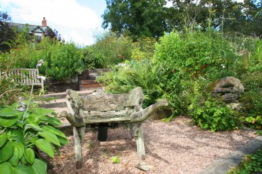 Yeşil bitkileri olan güzel bir yaz bahçesi