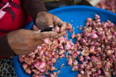 Kadının elleri kırmızı soğan soyarken.