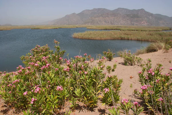 Dağlardaki güzel göl manzarası