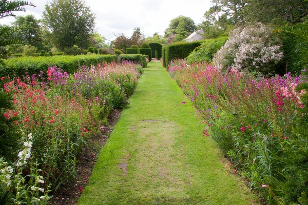 Yaz bahçesinde çiçek açan güzel çiçekler