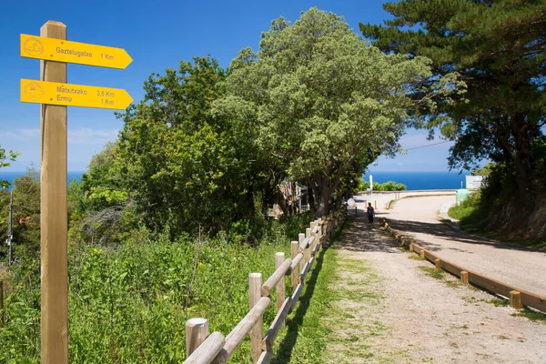 Parktaki yol işaretleri ve bitkiler