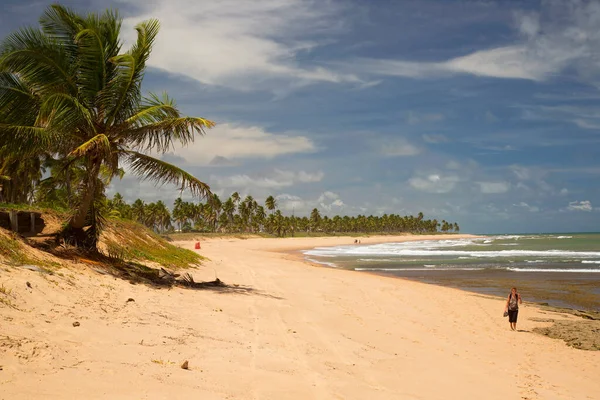 Güzel tropikal sahil manzarası