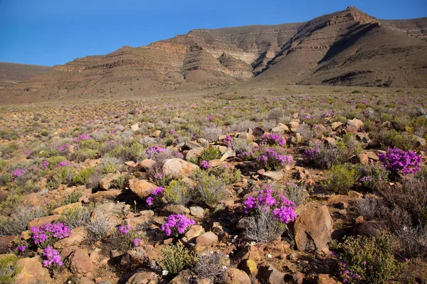 Çiçekler ve bitkilerle dolu güzel bir manzara. 