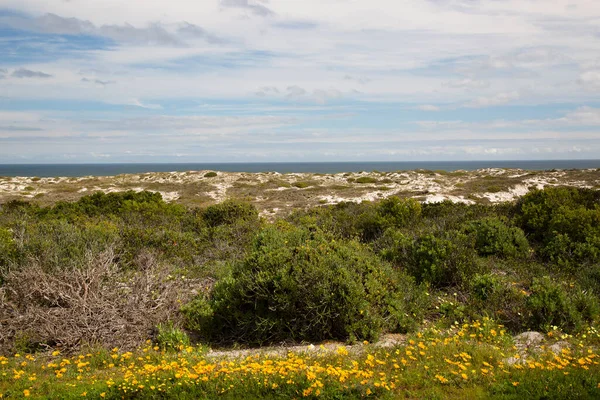 Deniz kıyısının güzel manzarası 