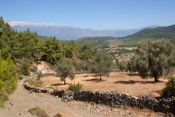 güzel bir manzara görünümü