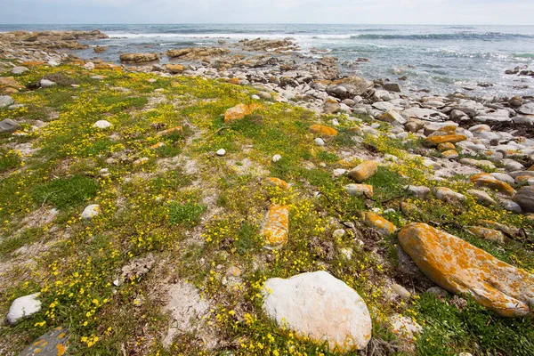 Deniz kıyısının güzel manzarası