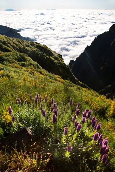 Dağların güzel manzarası