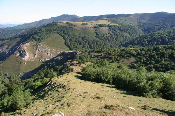 Uzaktaki orman ve dağların güzel manzarası. güneşli bir gün
