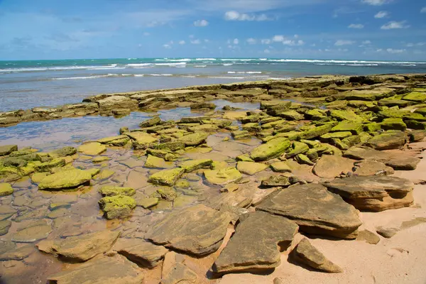 Deniz kıyısının güzel manzarası