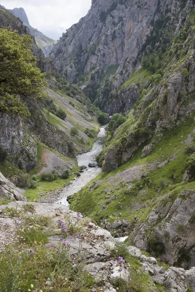 Dağları ve yeşil ağaçları olan güzel dağ manzarası