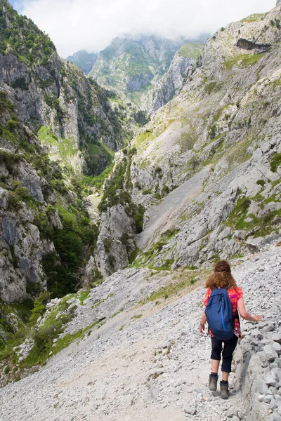 Dağlarda yürüyüş yapan bir kadın.