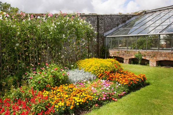 Bahçedeki güzel çiçekler