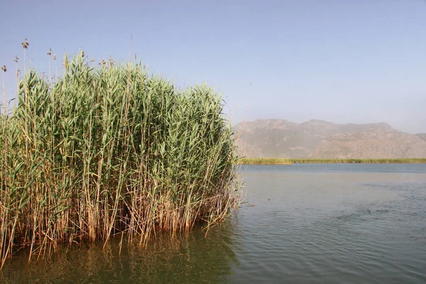 Sabah göl manzarası çok güzel.
