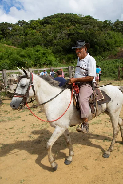 At üstünde şapka takan son sınıf öğrencisi.