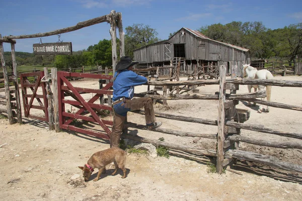 Kovboy Çiftliğe Bakıyor — Stok fotoğraf