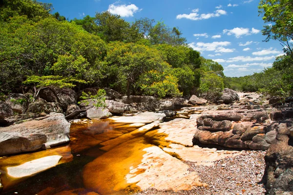 Tropikal yeşillik ve kayalık nehir manzarası