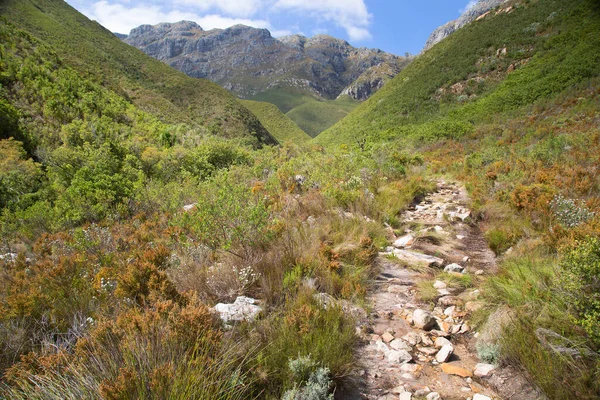 Dağları ve mavi gökyüzü olan güzel bir manzara. 