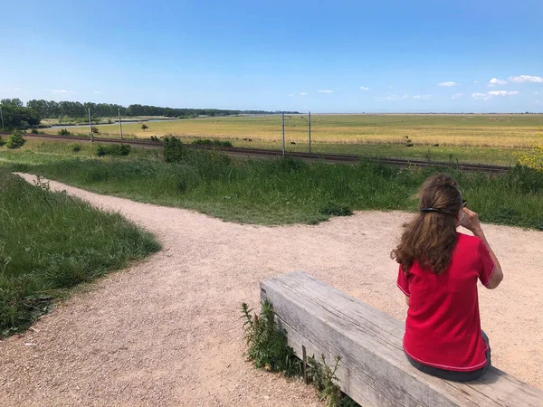 Kıdemli kadın doğada dinleniyor.