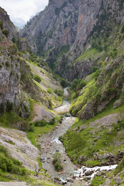 Dağları ve mavi gökyüzü olan güzel dağ manzarası