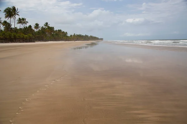 Belle Plage Tropicale Avec Palmiers — Photo