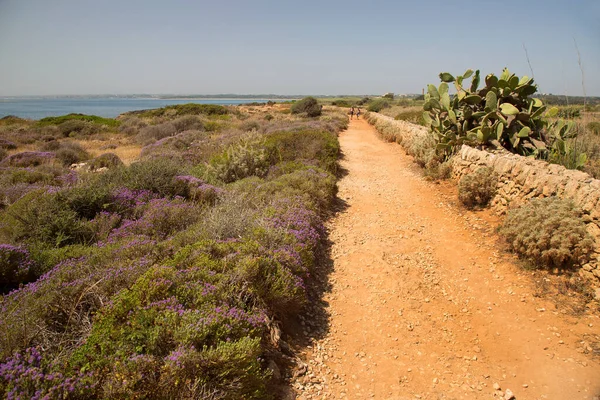 Bella Vista Della Scena Della Natura — Foto Stock