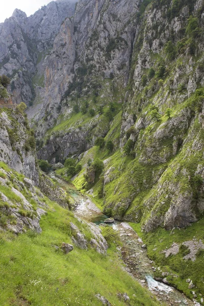 Yeşil çimenleri ve mavi gökyüzü olan güzel dağ manzarası