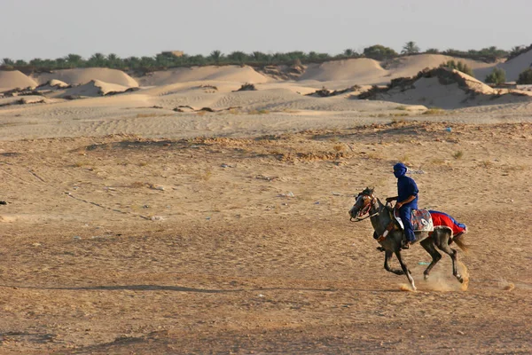 Mannen Met Arabische Paarden Woestijn — Stockfoto