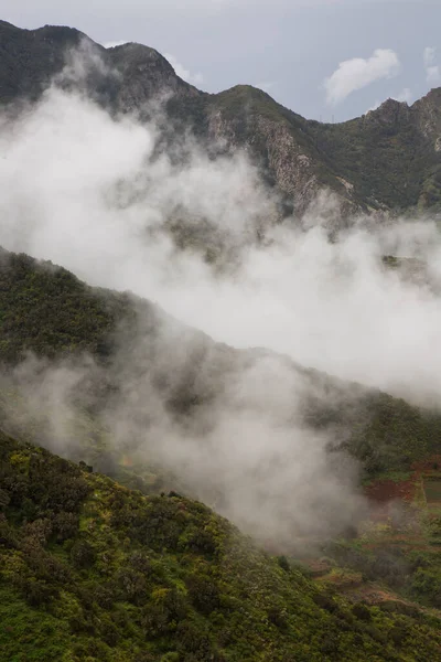 beautiful mountainous scene with low clouds