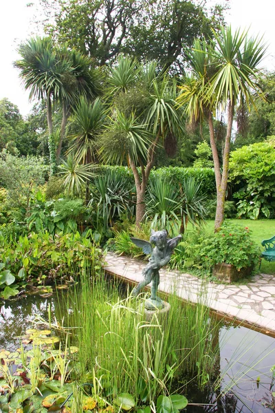 Mooie Tropische Tuin Met Groene Bladeren — Stockfoto