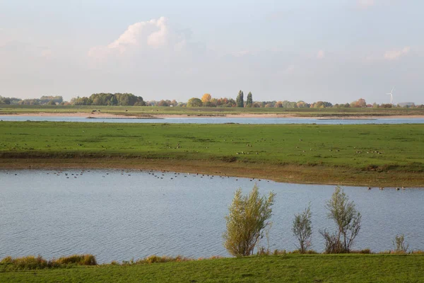 Nehirli güzel bir manzara