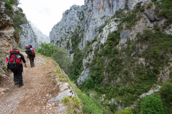 Dağlarda yürüyüşçüler, Kuzey İspanya.