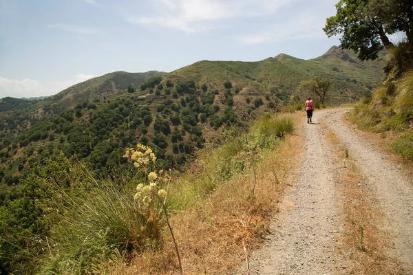 Dağlık arazide kadın yürüyüşçünün dikiz görüntüsü