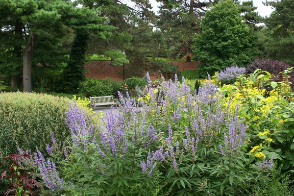 Parque Com Belas Flores Plantas — Fotografia de Stock