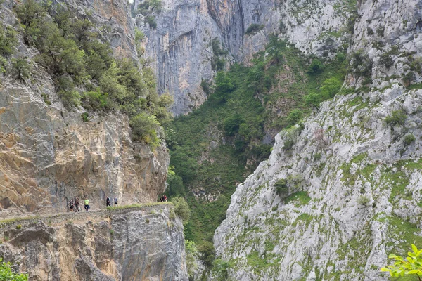 Kuzey İspanya 'da oyulmuş bir yürüyüş yolu ile dar ve sarp bir vadi boyunca iyi bilinen bir yürüyüş rotasındaki dağ yürüyüşçüleri..